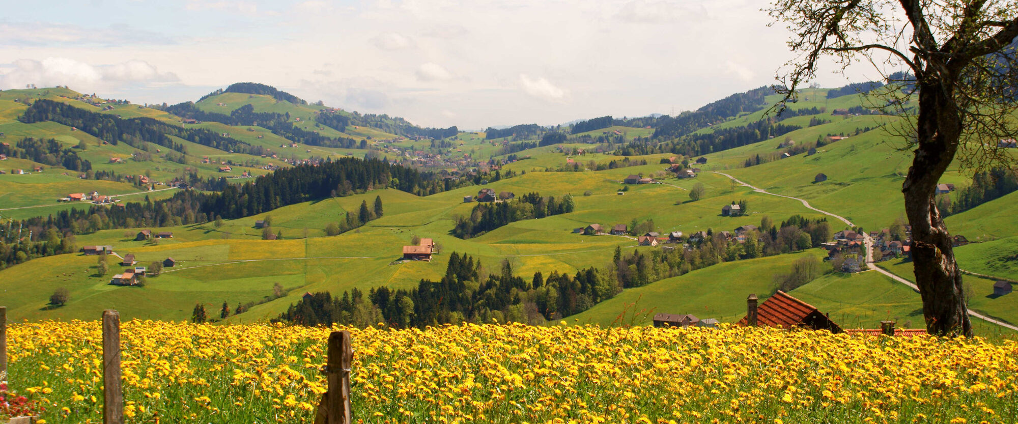 Blick Bächli Frühling