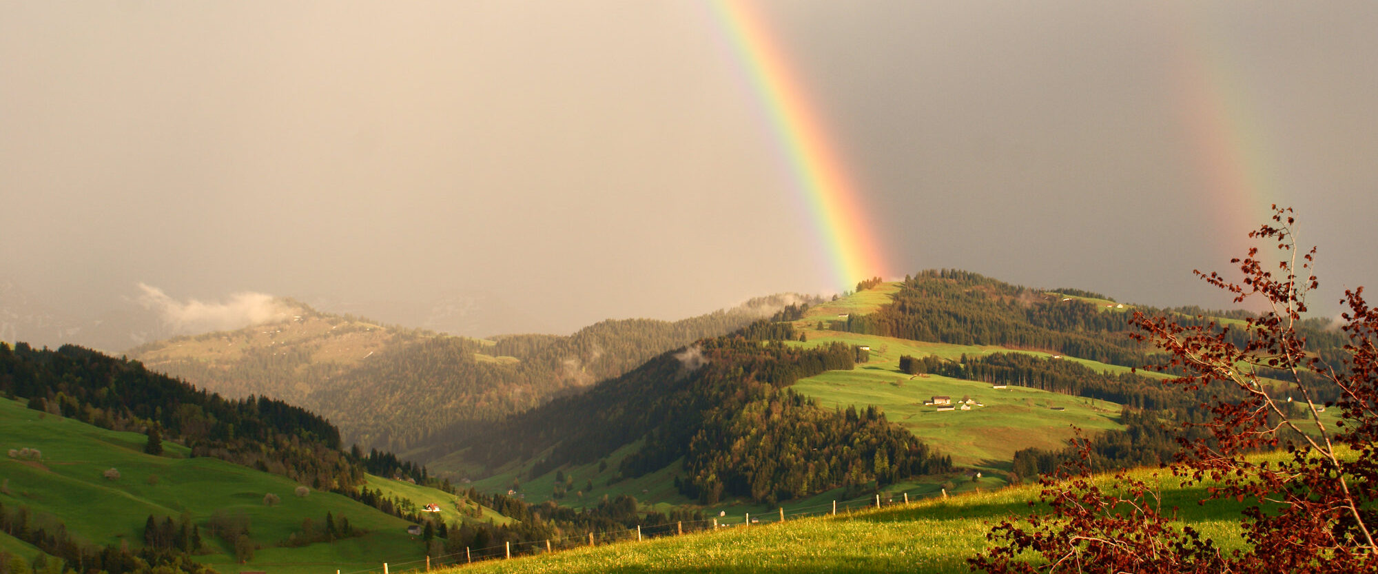 Regenbogen Neckertal